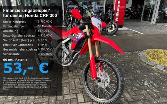 Gebrauchtmotorrad Honda CRF300L - Bild 1