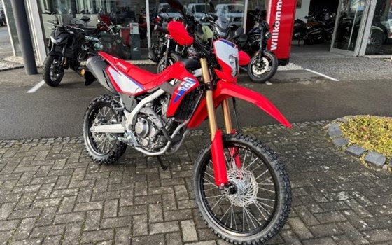 Gebrauchtmotorrad Honda CRF300L - Bild 2