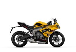 Neumotorrad Triumph Daytona 660
