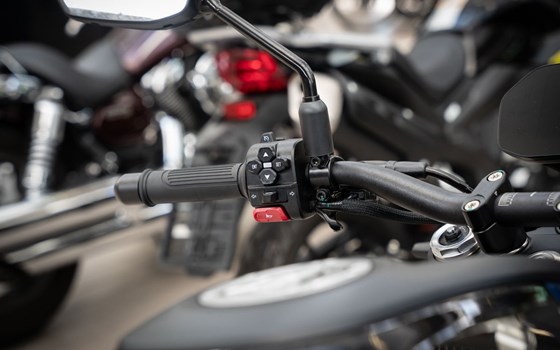 Neufahrzeug QJ Motor SRK 800 - Bild 7