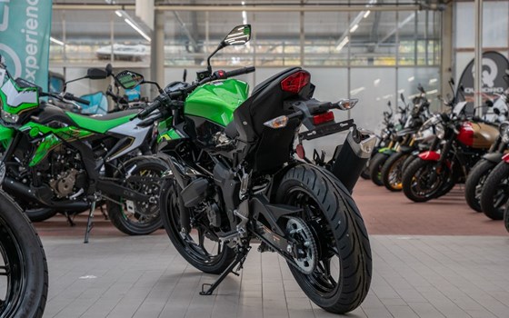 Neufahrzeug Kawasaki Z125 - Bild 5