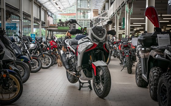 Neufahrzeug Moto Morini X-Cape 1200 - Bild 2