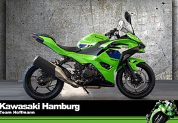 Neumotorrad Kawasaki Ninja 500 SE