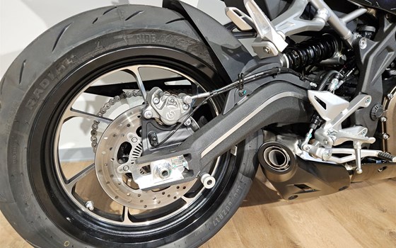 Neufahrzeug QJ Motor SRK 421 RR - Bild 2