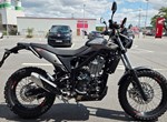 Angebot Beta Alp X