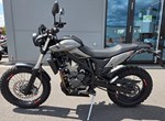 Angebot Beta Alp X