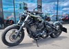 Indian Chief Dark Horse