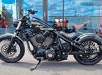 Angebot Indian Chief Dark Horse
