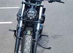 Angebot Indian Chief Dark Horse