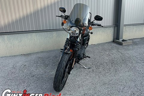 HARLEY-DAVIDSON Sportster 883 - Gebrauchtberatung