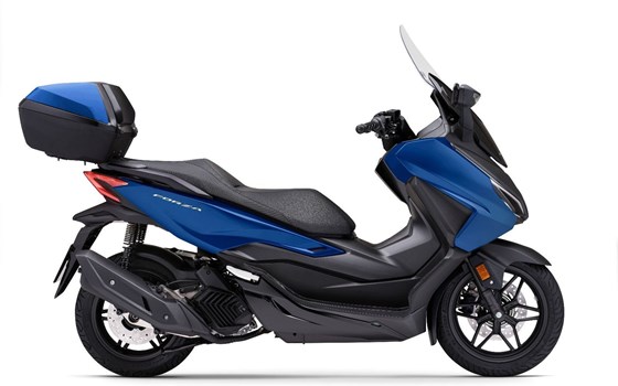 Gebrauchtmotorrad Honda Forza 125 - Bild 10