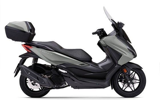 Gebrauchtmotorrad Honda Forza 125 - Bild 3