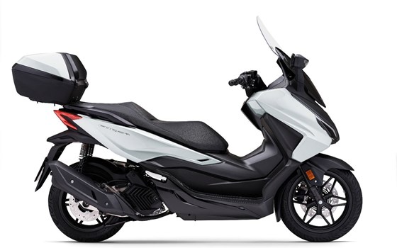 Gebrauchtmotorrad Honda Forza 125 - Bild 8