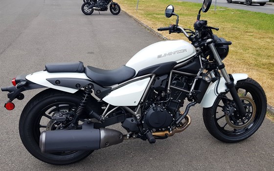 Gebrauchtmotorrad Kawasaki Eliminator 500 - Bild 10
