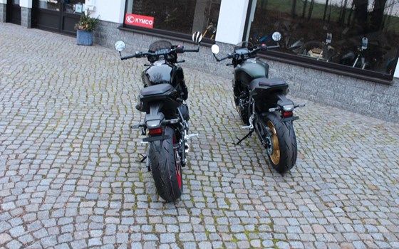 Neufahrzeug Suzuki GSX-8TT - Bild 6