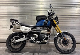 Gebrauchte Triumph Scrambler 1200 XE