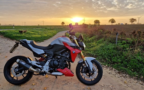 Gebrauchtmotorrad BMW F 900 R - Bild 1