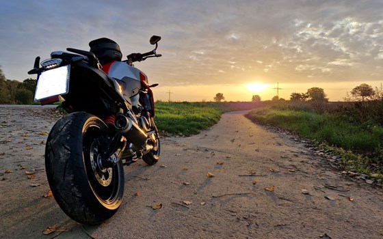 Gebrauchtmotorrad BMW F 900 R - Bild 3