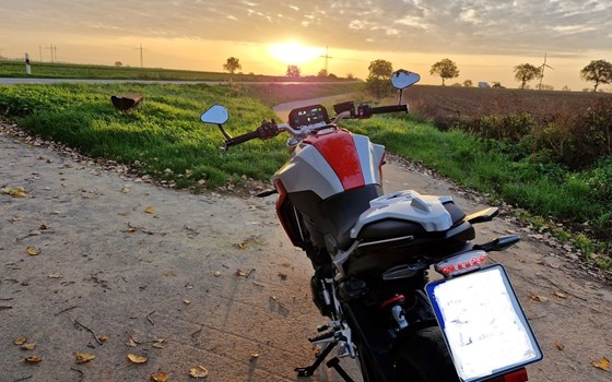 Gebrauchtmotorrad BMW F 900 R - Bild 4