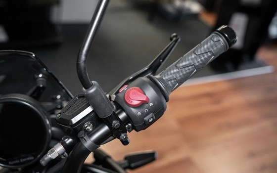Neufahrzeug Royal Enfield Himalayan 450 - Bild 9