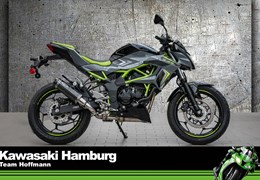 Neumotorrad Kawasaki Z125