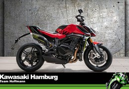 Neumotorrad QJ Motor SRK 921