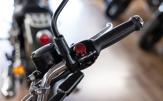 Neufahrzeug Royal Enfield Bear 650 - Bild 7