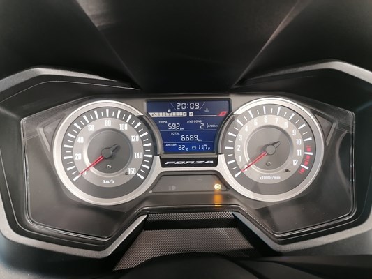 Honda Forza 125 (weiß) - Bild 3