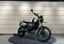 Gebrauchte Triumph Scrambler 1200 XE