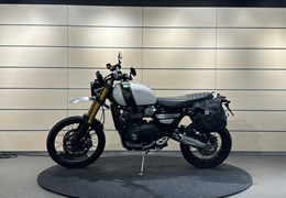 Gebrauchte Triumph Scrambler 1200 XE
