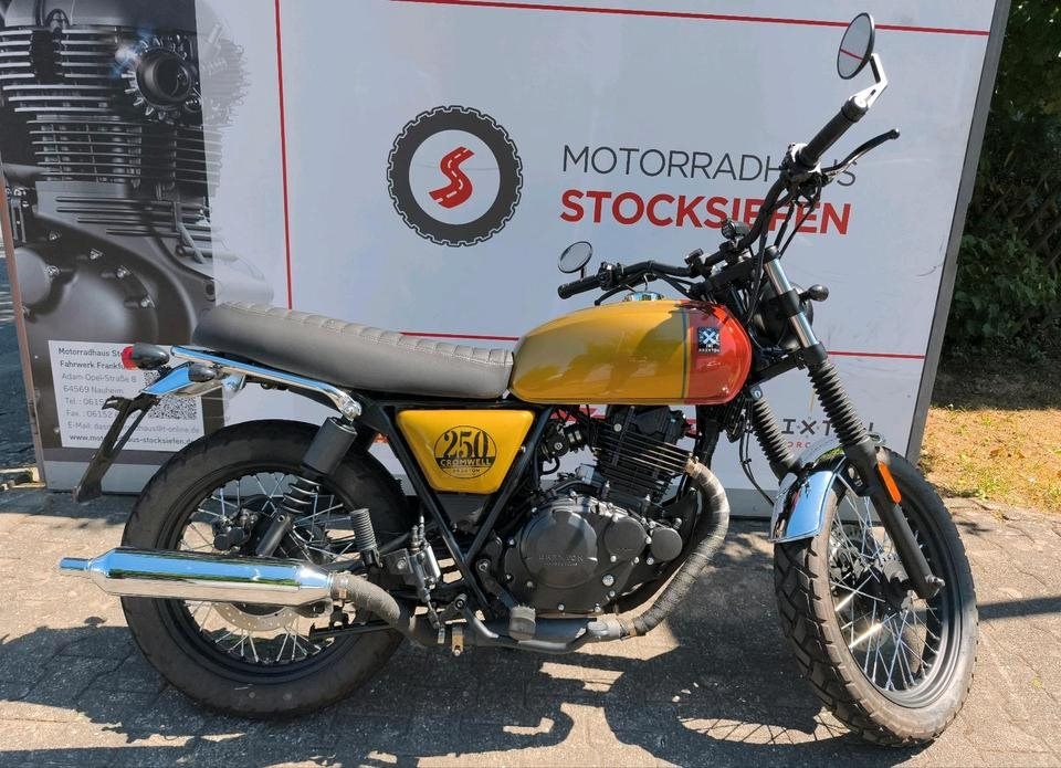 Angebot Brixton Cromwell 250