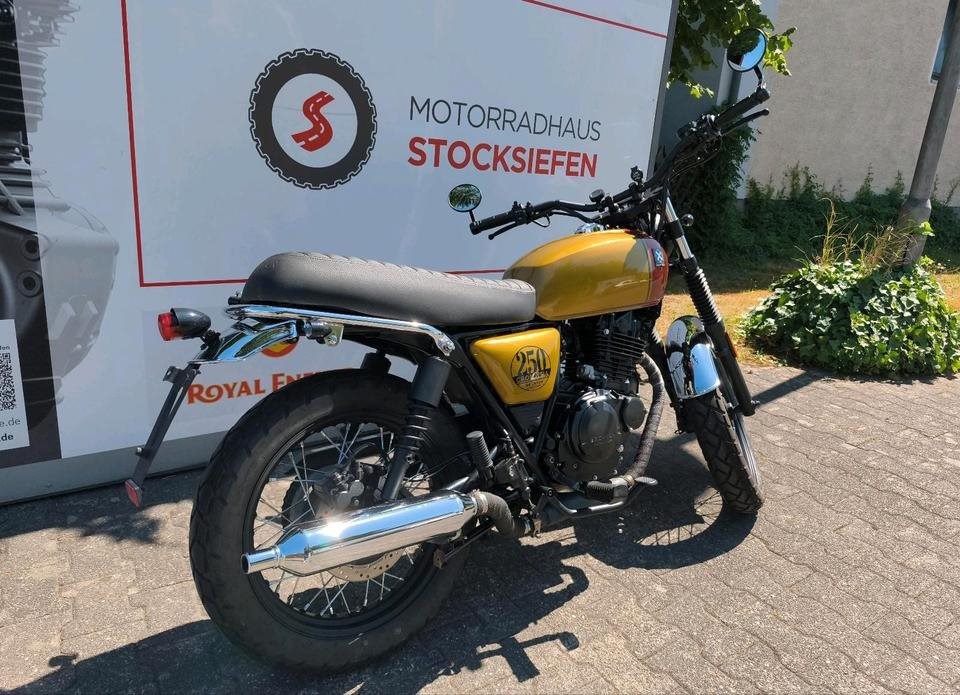 Angebot Brixton Cromwell 250