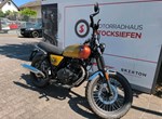 Angebot Brixton Cromwell 250