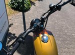 Angebot Brixton Cromwell 250