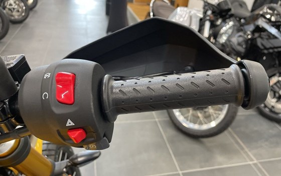 Gebrauchtmotorrad Triumph Scrambler 400 XC - Bild 11