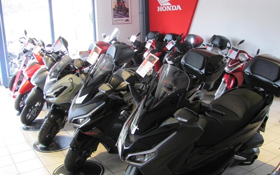 Gebrauchtmotorrad Honda CRF1100L Africa Twin Adventure Sports DCT - Bild 11