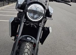 Angebot Husqvarna Svartpilen 801