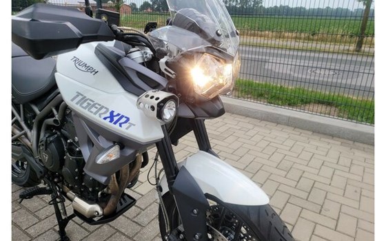 Gebrauchtmotorrad Triumph Tiger 800 XRT - Bild 2