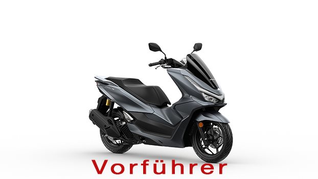 Honda PCX125 DX