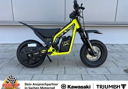 Neumotorrad Triumph TXP-12