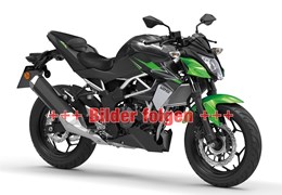 Gebrauchte Kawasaki Z125