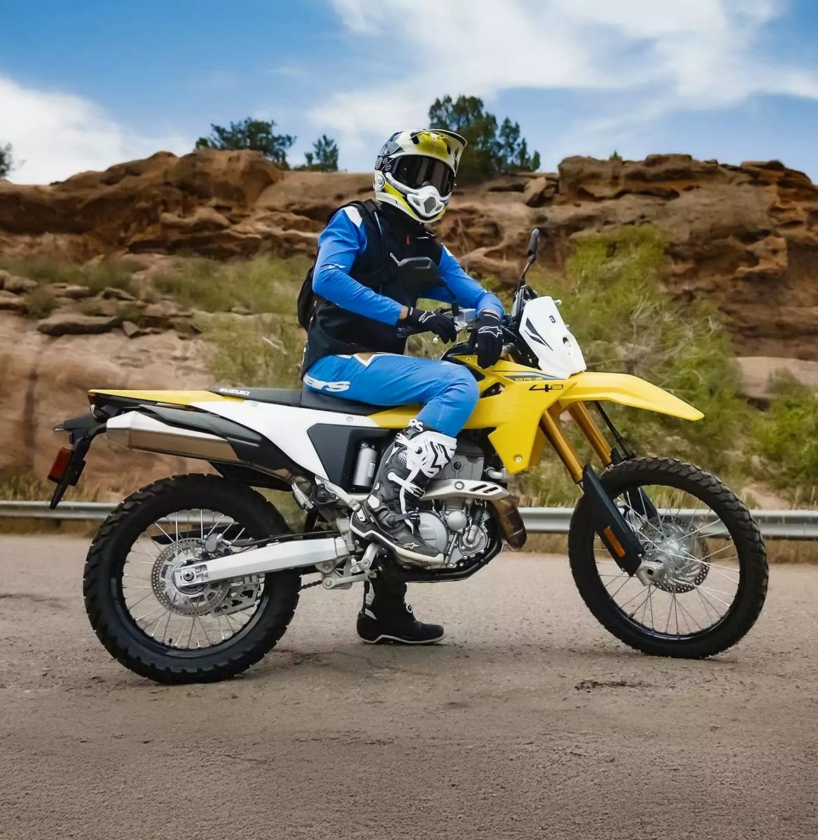 Suzuki DR-Z4S