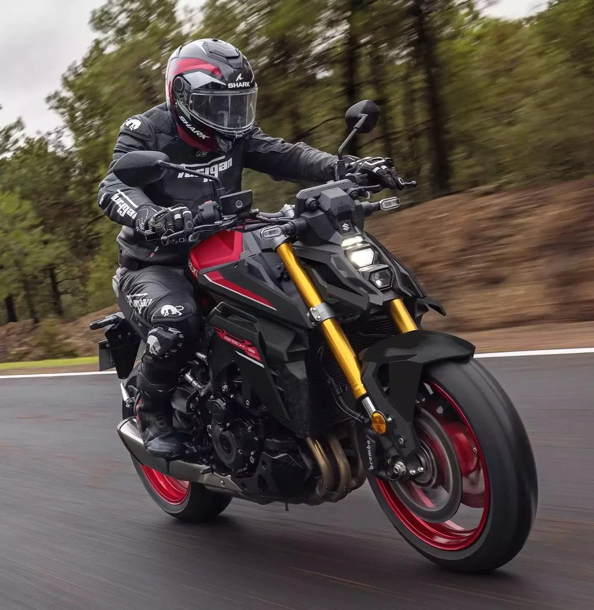 Suzuki GSX-S1000