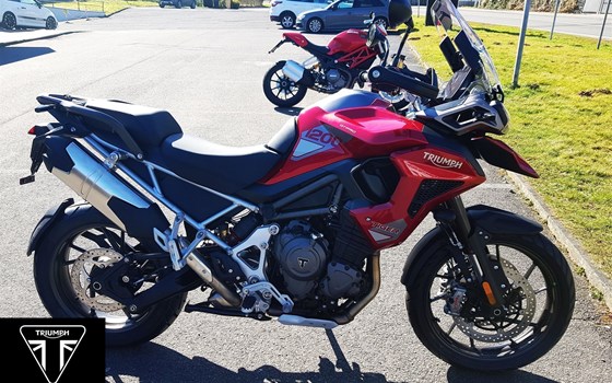 Gebrauchtmotorrad Triumph Tiger 1200 GT PRO - Bild 1