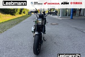 Angebot Voge XWOLF 300