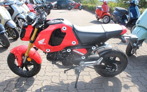Gebrauchtmotorrad Honda MSX125 Grom - Bild 1
