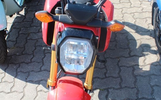 Gebrauchtmotorrad Honda MSX125 Grom - Bild 4