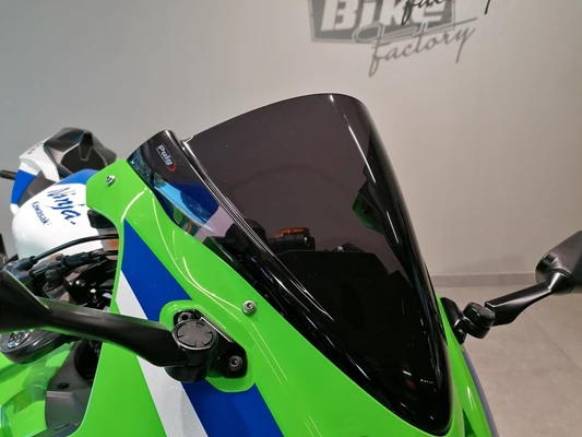 Kawasaki Ninja ZX-6R 40th Anniversary Edition (grün) - Bild 4