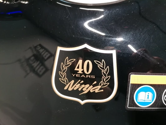 Kawasaki Ninja 1000SX 40th Anniversary (rot) - Bild 5