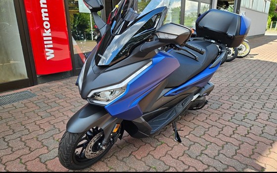 Gebrauchtmotorrad Honda Forza 125 - Bild 2